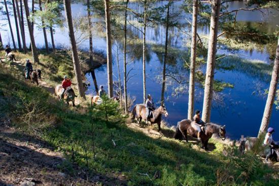 Tivedens Hostel-Vandrarhem Карлсборґ Екстер'єр фото
